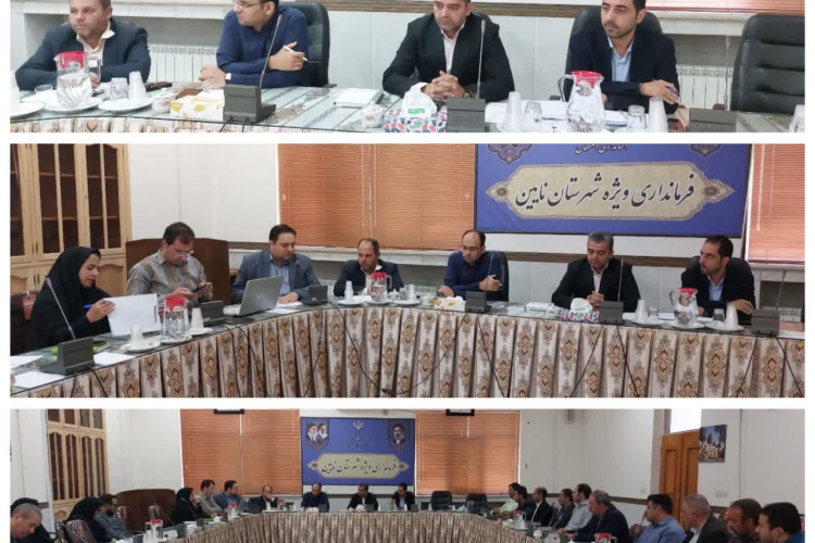 برگزاری جلسه گروه کاری سلامت و امنیت غذایی ذیل کارگروه فرهنگی، اجتماعی، سلامت، زنان و خانواده شهرستان نایین